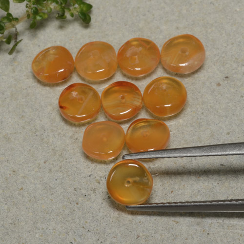 Medium Orange 红玉髓 Gem - 0.7ct 圆板型 (ID: 480313)