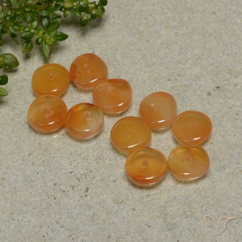 Lot de 10pc Cornalines Orange Fantaisie de l'Inde - Taille 5,8x5,7 mm, poids total 5,34 ct / moyenne 0,53 ct chaque, couleur : Orange moyen, dureté de Mohs 6.5 à 7 convient aux bijoux de tous les jours, pierre de sagesse, Photo A