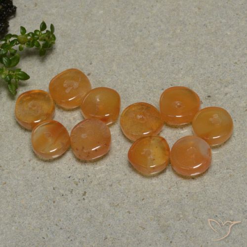 Lotto di 10 pezzi Corniola arancione taglio fantasia Corniola - Dimensioni 6,1x6 mm, peso 7,95 ct totali / media. 0,8 ct ciascuno, colore: Arancione scuro, durezza Mohs 6,5 - 7 adatto per gioielli da indossare ogni giorno , Photo A