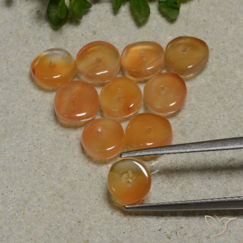 Lotto Corniola taglio fantasia da 10 pezzi 6x5,8 mm - Peso totale di 7,53 ct / avg. 0,75 ct ciascuno, colore: Arancione scuro, durezza Mohs 6,5 - 7 adatto per gioielli da indossare ogni giorno, Photo A