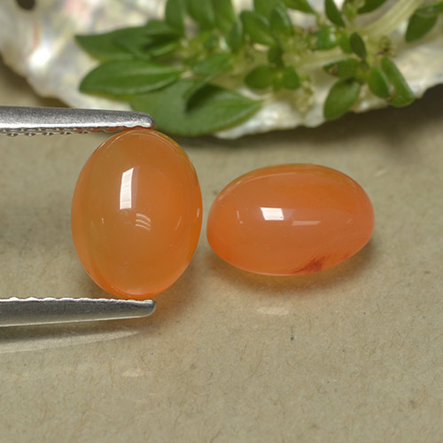 قطعتان من عقيق برتقالى أو كارنيليان بيضوي المتطابق بحجم ٨.٣ x ٦.٣ مم، الوزن الإجمالي ٣ قيراط / المتوسط. ١.٥ قيراط لكل منها، اللون: برتقالي ، النقاء: نصف شفاف ، حجر كريم طبيعي، صلابة موس ٦.٥ - ٧ مناسب للمجوهرات التي ترتدى يوميًا, Photo A