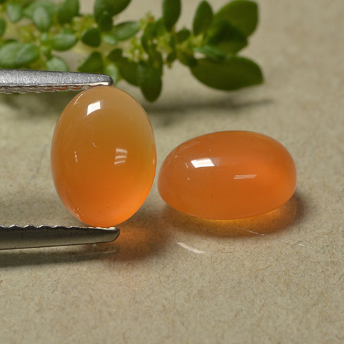 Medium Orange Karneol Edelstein - 1.5ct Oval Cabochon (ID: 494623)