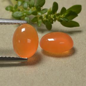 Warm Apricot Orange Карнеол Камень - 1.2ct Овал Кабошон (ID: 494624)
