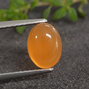 Naranja claro Cornalina Gema - 1.3ct Cabujón Óvalo (ID: 495475)