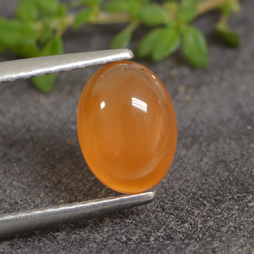 Medium Orange Карнеол Камень - 1.3ct Овал Кабошон (ID: 495476)