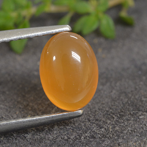 Apricot Orange Corniola Gem - 1.5ct Ovale cabochon (ID: 495477)