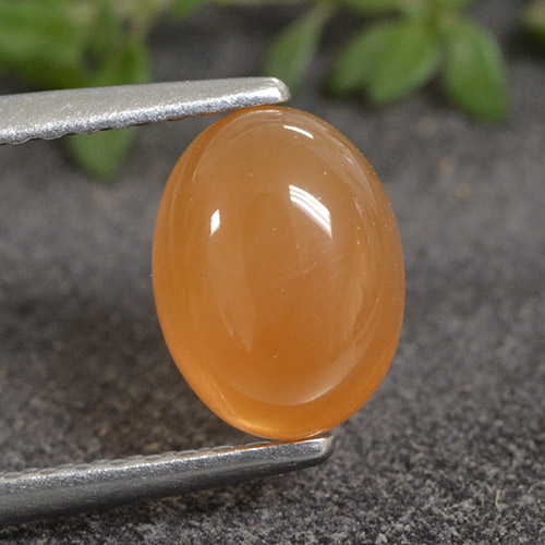 Cornalina Naranja Cabujón Óvalo de 1.4 ct de India, dimensión 8,1 x 6,1mm, piedra preciosa natural No tratado, claridad Translúcido, Cornalina de 1 pieza en color Naranja rojizo, dureza Mohs de 6.5 - 7 Adecuado para joyas de uso diario, Photo A