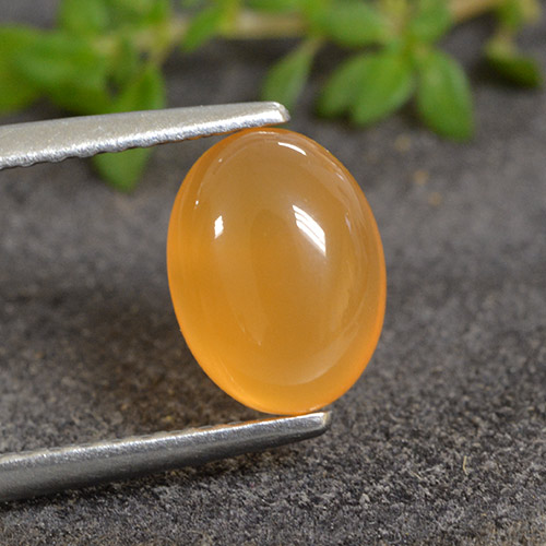 Honey Orange Carnelian Gem - 1.3ct Oval Cabochon (ID: 495483)