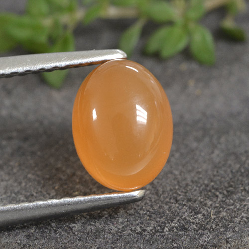 Apricot Orange Карнеол Камень - 1.6ct Овал Кабошон (ID: 495484)