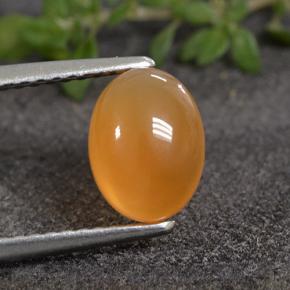 Medium Orange Corniola Gem - 1.7ct Ovale cabochon (ID: 495486)
