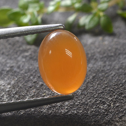 Medium Orange Carnelian Gem - 1.2ct Oval Cabochon (ID: 495534)