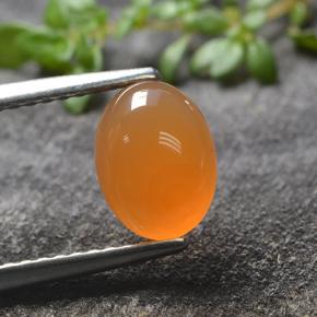 Красновато-оранжевый Карнеол Камень - 1.3ct Овал Кабошон (ID: 495538)