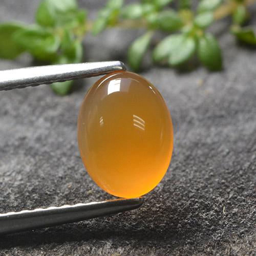 Arancione brillante Corniola Gem - 1.2ct Ovale cabochon (ID: 495539)