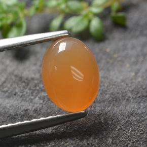 Naranja albaricoque Cornalina Gema - 1.3ct Cabujón Óvalo (ID: 495540)