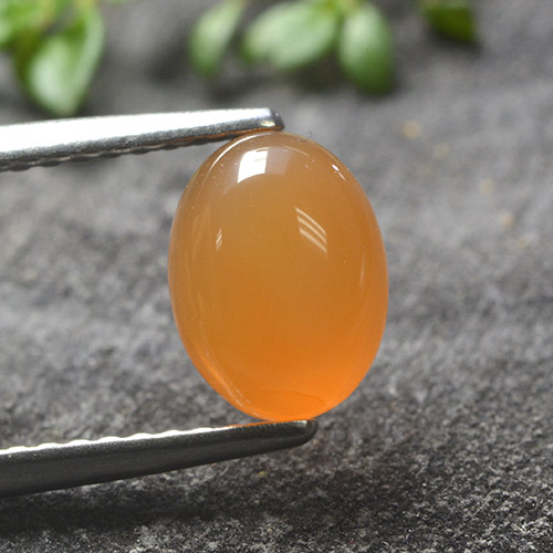 Apricot Orange Carnelian Gem - 1.3ct Oval Cabochon (ID: 495542)