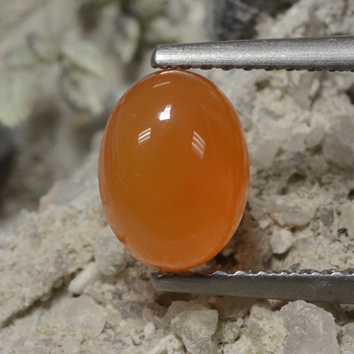 Arancione rossastra Corniola Gem - 1.4ct Ovale cabochon (ID: 496066)