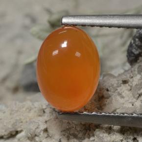 1.3ct Oval Cabochon Orange Carnelian Gem for sale 1.3ct Oval Cabochon Orange Carnelian Gem (ID: 496068)
