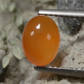 Naranja oscuro Cornalina Gema - 1.5ct Cabujón Óvalo (ID: 496070)