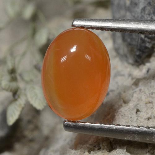 Warm Apricot Orange Carnelian Gem - 1.3ct Oval Cabochon (ID: 496071)