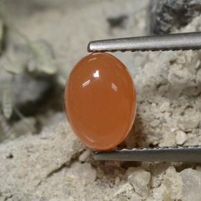 Темно-оранжевый Карнеол Камень - 1.6ct Овал Кабошон (ID: 496077)