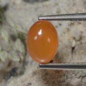 Medium Orange Карнеол Камень - 1.4ct Овал Кабошон (ID: 496078)