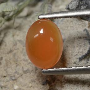 1.2ct Oval Cabochon Orange Carnelian Gem for sale 1.2ct Oval Cabochon Orange Carnelian Gem (ID: 496079)