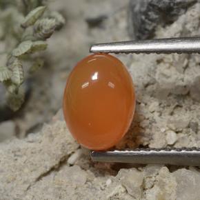 1.2ct Oval Cabochon Orange Carnelian Gem for sale 1.2ct Oval Cabochon Orange Carnelian Gem (ID: 496080)