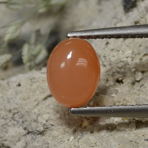 ライトオレンジ カーネリアン 宝石 - 1.5ct オーバル カボション (ID: 496084)