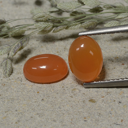 Reddish Orange Carnelian Gem - 1.5ct Oval Cabochon (ID: 496089)