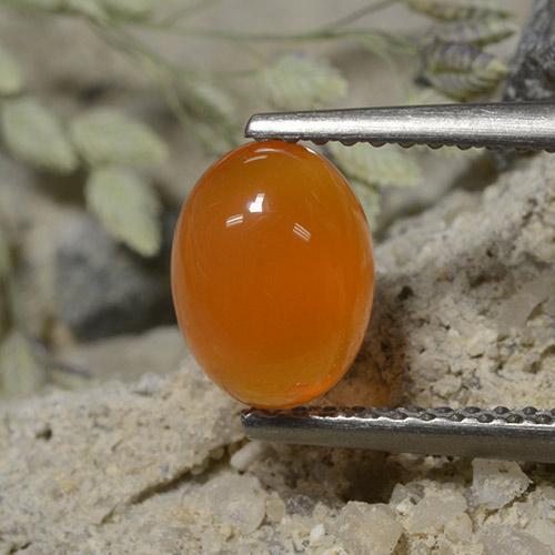 Naranja medio Cornalina Gema - 1.3ct Cabujón Óvalo (ID: 496095)