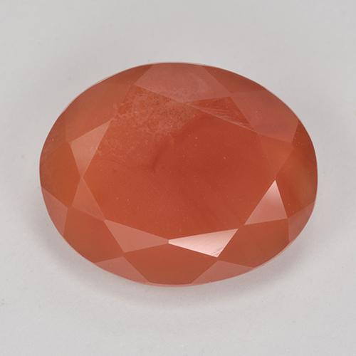 Medium Orange Corniola Gem - 8.7ct Ovale sfaccettato (ID: 513181)