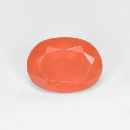 Naranja fuego Cornalina Gema - 0.6ct Forma ovalada (ID: 556999)