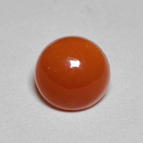 Ámbar naranja Cornalina Gema - 1.8ct Cabujón Redondo (ID: 587160)