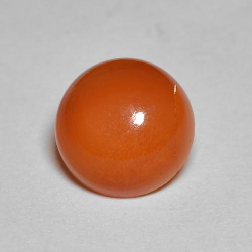 Fire Orange Carnelian Gem - 2.7ct Round Cabochon (ID: 587167)