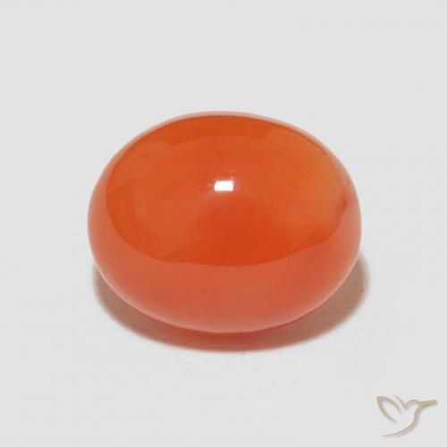 Cornaline ovale de 4,18 ct, 11,2 x 9,2 mm d'Inde, Photo A