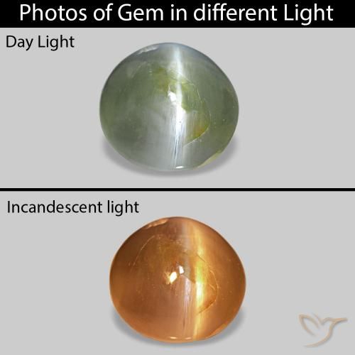 0.53 ct Green Cat's Eye Alexandrite Gemstone, Cat's Eye Alexandrite Gem in Oval Cabochon Shape for Sale.