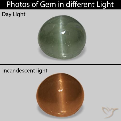 0.59 ct Green Cat's Eye Alexandrite Gemstone, Cat's Eye Alexandrite Gem in Oval Cabochon Shape for Sale.