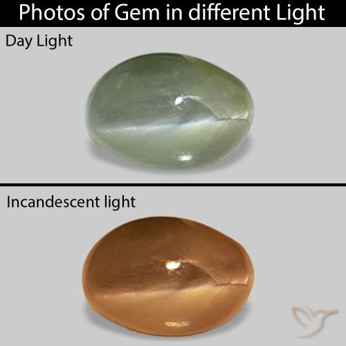 0.62ct Medium Green Cat's Eye Alexandrite, Oval, Opaque