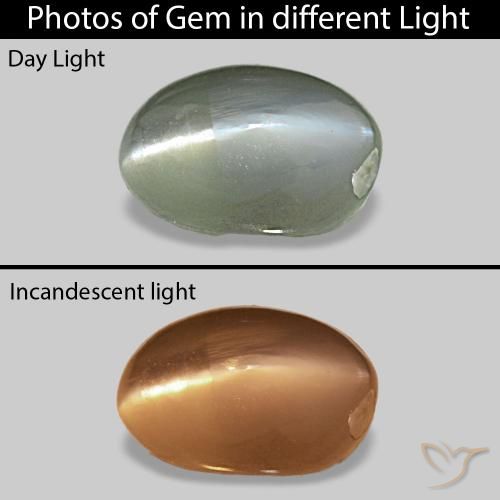 0.71ct Medium Green Cat's Eye Alexandrite Gemstones, Oval, Opaque