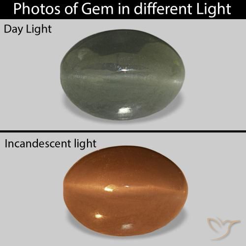 0.61 ct Green Cat's Eye Alexandrite Gemstone, Cat's Eye Alexandrite Gem in Oval Cabochon Shape for Sale.