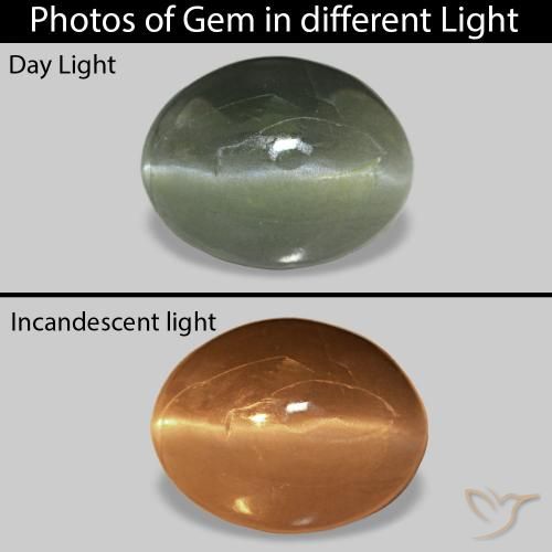 0.62ct Pale Forest Green Cat's Eye Alexandrite, Oval, Opaque