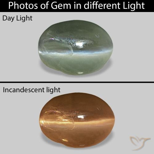 0.68ct Medium Green Cat's Eye Alexandrite, Oval, Opaque