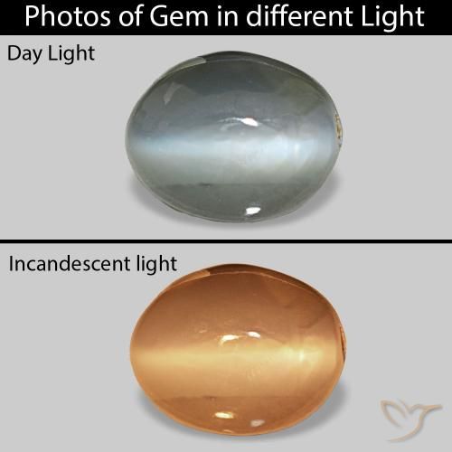 0.64 ct Gray Cat's Eye Alexandrite Gemstone, Cat's Eye Alexandrite Gem in Oval Cabochon Shape for Sale.