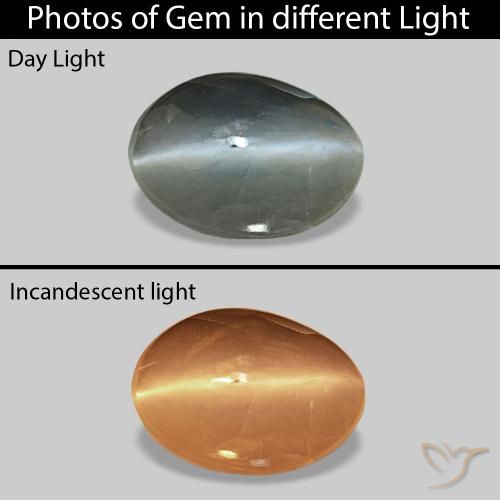 0.71 ct Gray Cat's Eye Alexandrite Gemstone, Cat's Eye Alexandrite Gem in Oval Cabochon Shape for Sale.