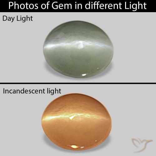 0.56ct Medium Green Cat's Eye Alexandrite Gemstones, Oval, Opaque