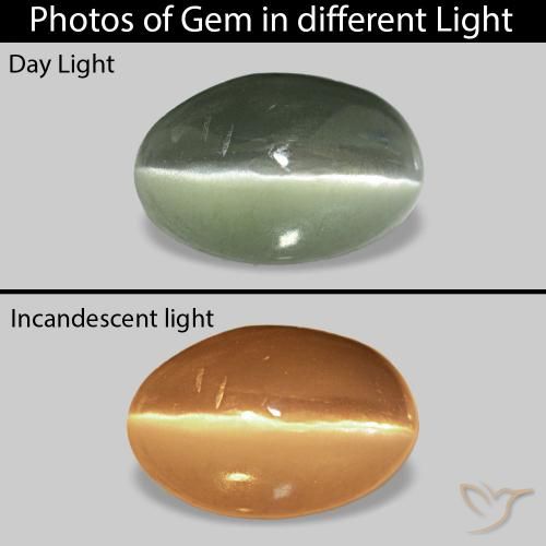 0.73 ct Green Cat's Eye Alexandrite Gemstone, Cat's Eye Alexandrite Gem in Oval Cabochon Shape for Sale.