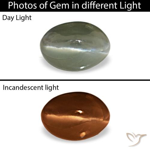 0.49ct Gray Cat'S Eye Alexandrite, Oval, Opaque