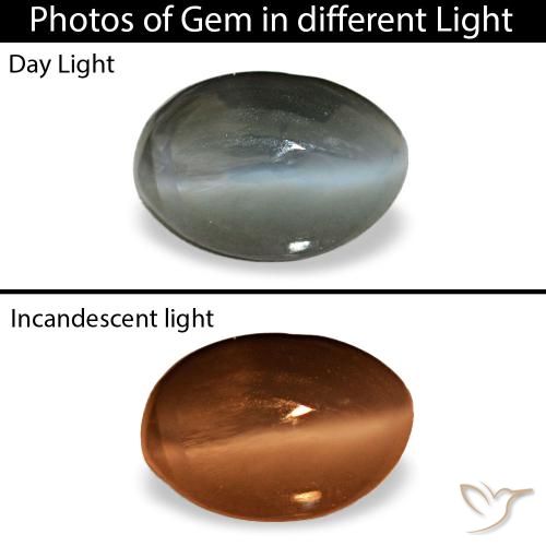 0.56 ct Gray Cat's Eye Alexandrite Gemstone, Cat's Eye Alexandrite Gem in Oval Cabochon Shape for Sale.