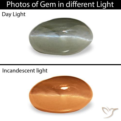 0.50 ct Green Cat's Eye Alexandrite Gemstone, Cat's Eye Alexandrite Gem in Oval Cabochon Shape for Sale.