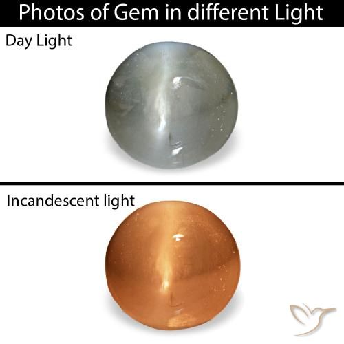 0.51 ct Gray Cat's Eye Alexandrite Gemstone, Cat's Eye Alexandrite Gem in Oval Cabochon Shape for Sale.